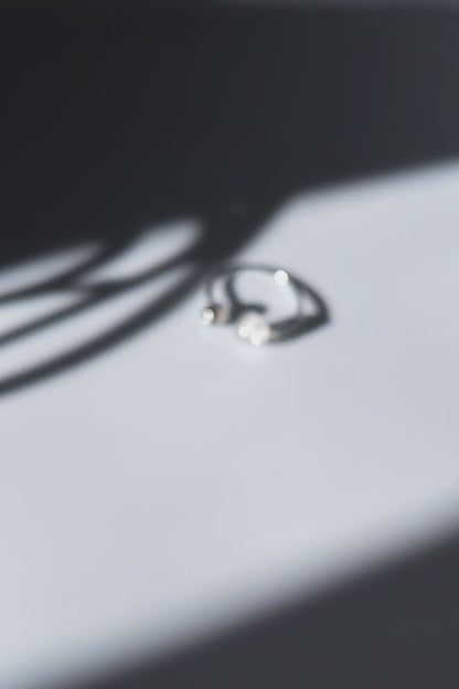 REI silver / double ring